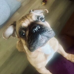 Meet your Posher, Pamela